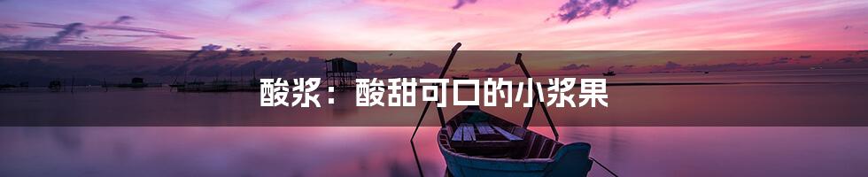 酸浆：酸甜可口的小浆果