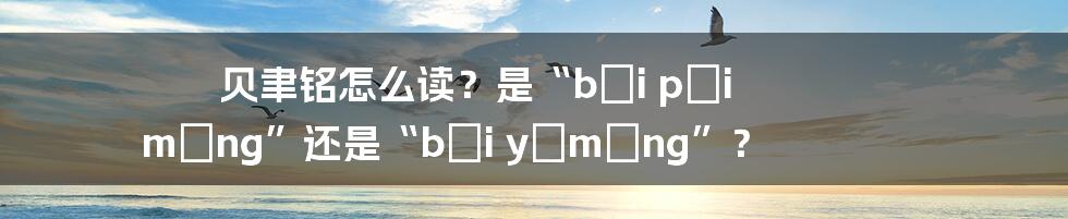 贝聿铭怎么读？是“bèi pèi míng”还是“bèi yǔmíng”？