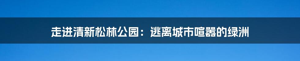 走进清新松林公园：逃离城市喧嚣的绿洲