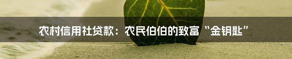 农村信用社贷款：农民伯伯的致富“金钥匙”