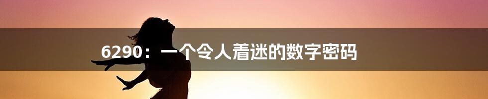 6290：一个令人着迷的数字密码