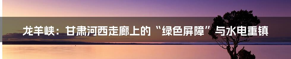 龙羊峡：甘肃河西走廊上的“绿色屏障”与水电重镇