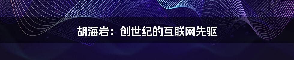 胡海岩：创世纪的互联网先驱