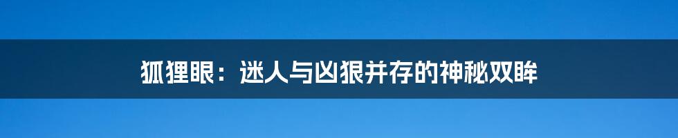 狐狸眼：迷人与凶狠并存的神秘双眸