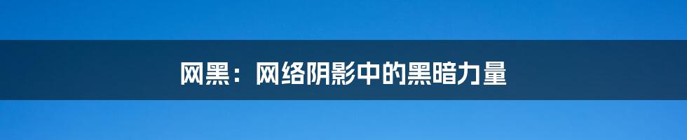 网黑：网络阴影中的黑暗力量