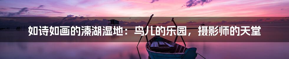 如诗如画的溱湖湿地：鸟儿的乐园，摄影师的天堂