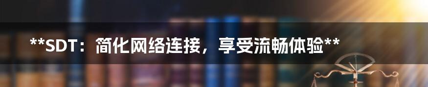 **SDT：简化网络连接，享受流畅体验**