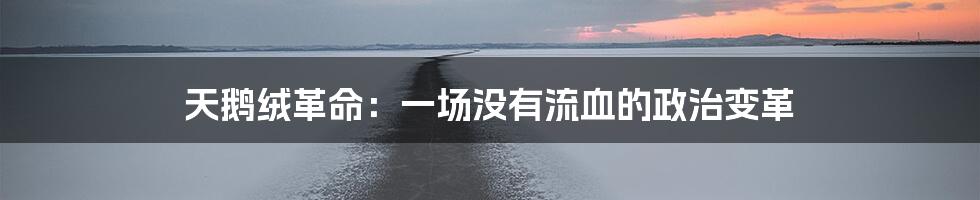 天鹅绒革命：一场没有流血的政治变革