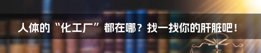 人体的“化工厂”都在哪？找一找你的肝脏吧！