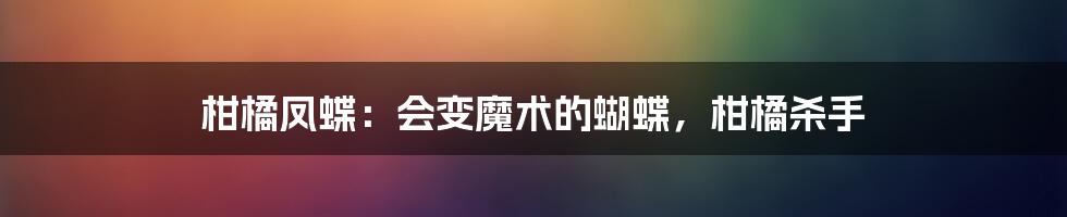 柑橘凤蝶：会变魔术的蝴蝶，柑橘杀手