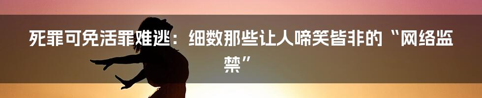 死罪可免活罪难逃：细数那些让人啼笑皆非的“网络监禁”