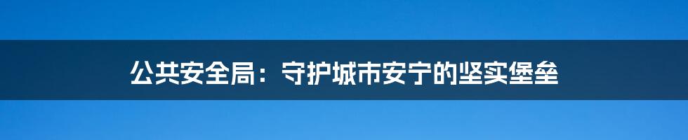 公共安全局：守护城市安宁的坚实堡垒