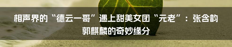 相声界的“德云一哥”遇上甜美女团“元老”：张含韵郭麒麟的奇妙缘分