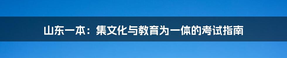 山东一本：集文化与教育为一体的考试指南