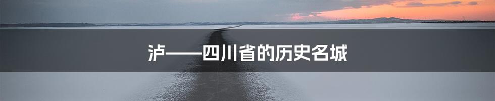 泸——四川省的历史名城