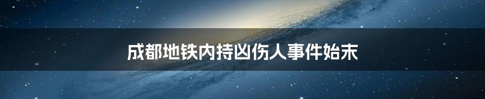 成都地铁内持凶伤人事件始末