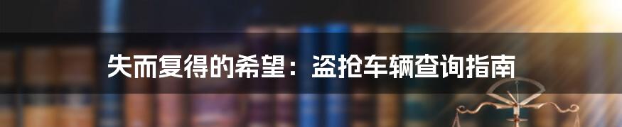 失而复得的希望：盗抢车辆查询指南