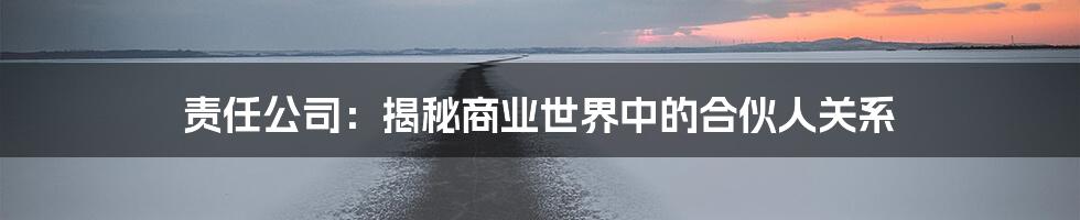 责任公司：揭秘商业世界中的合伙人关系