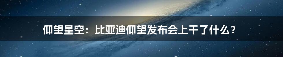 仰望星空：比亚迪仰望发布会上干了什么？