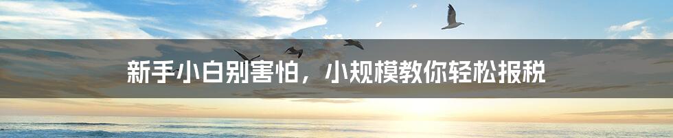 新手小白别害怕，小规模教你轻松报税