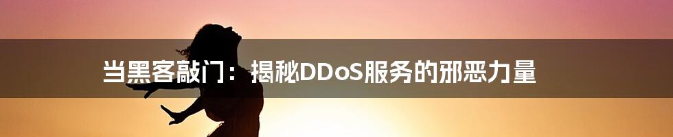 当黑客敲门：揭秘DDoS服务的邪恶力量