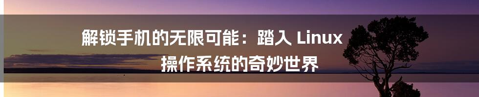 解锁手机的无限可能：踏入 Linux 操作系统的奇妙世界