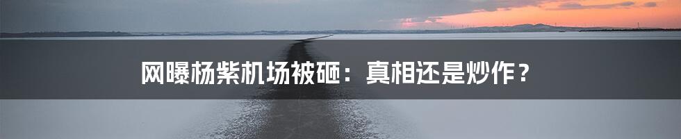 网曝杨紫机场被砸：真相还是炒作？