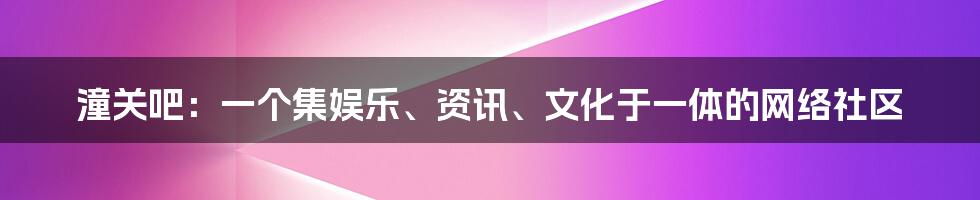 潼关吧：一个集娱乐、资讯、文化于一体的网络社区