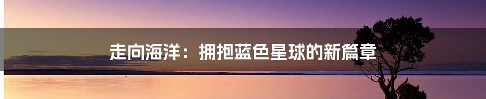 走向海洋：拥抱蓝色星球的新篇章