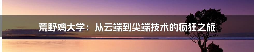 荒野鸡大学：从云端到尖端技术的疯狂之旅