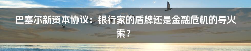 巴塞尔新资本协议：银行家的盾牌还是金融危机的导火索？