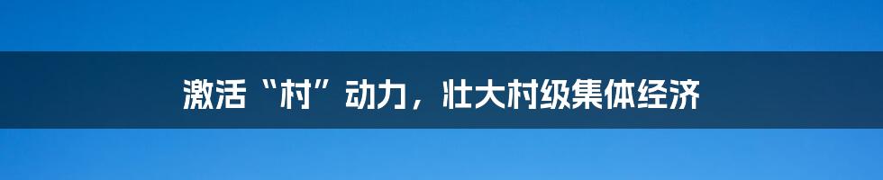 激活“村”动力，壮大村级集体经济