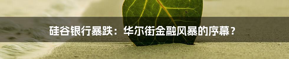 硅谷银行暴跌：华尔街金融风暴的序幕？