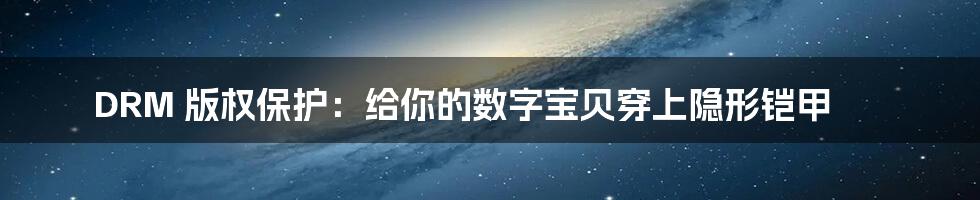 DRM 版权保护：给你的数字宝贝穿上隐形铠甲