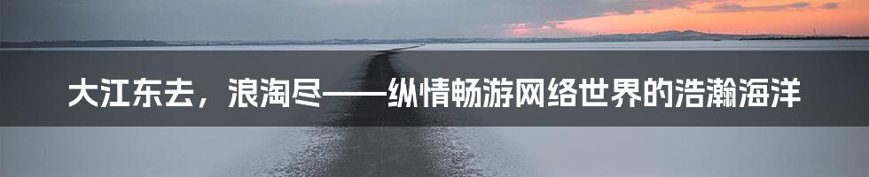 大江东去，浪淘尽——纵情畅游网络世界的浩瀚海洋