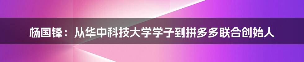 杨国锋：从华中科技大学学子到拼多多联合创始人