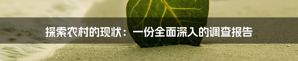 探索农村的现状：一份全面深入的调查报告