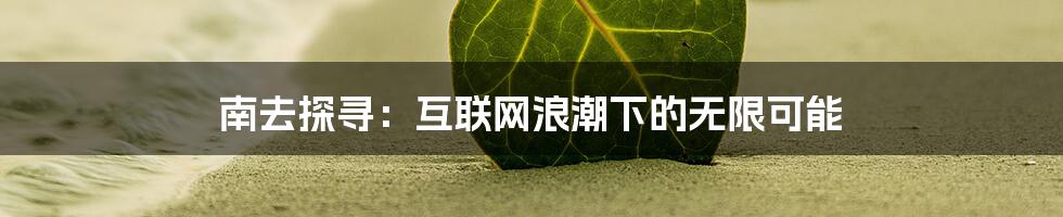 南去探寻：互联网浪潮下的无限可能