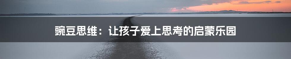 豌豆思维：让孩子爱上思考的启蒙乐园