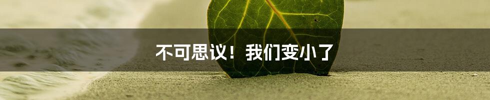 不可思议！我们变小了