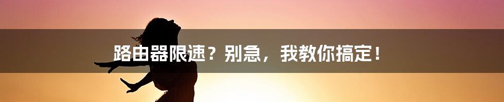 路由器限速？别急，我教你搞定！