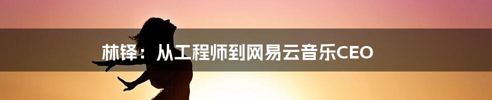 林铎：从工程师到网易云音乐CEO