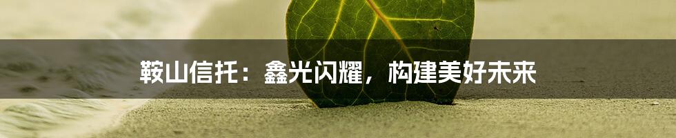 鞍山信托：鑫光闪耀，构建美好未来