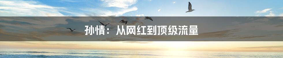 孙情：从网红到顶级流量