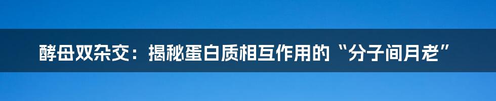 酵母双杂交：揭秘蛋白质相互作用的“分子间月老”