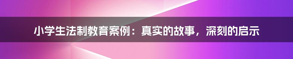 小学生法制教育案例：真实的故事，深刻的启示