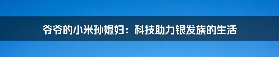 爷爷的小米孙媳妇：科技助力银发族的生活