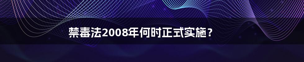 禁毒法2008年何时正式实施？