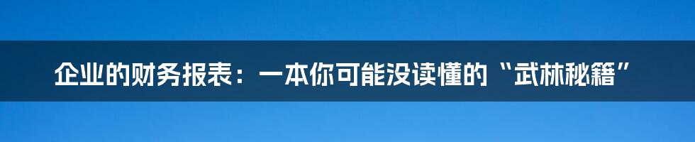 企业的财务报表：一本你可能没读懂的“武林秘籍”