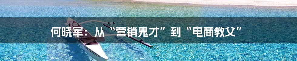 何晓军：从“营销鬼才”到“电商教父”